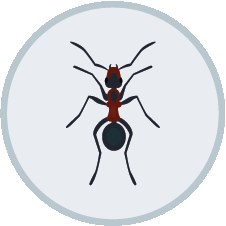 DIY Pest Control real product visual 1